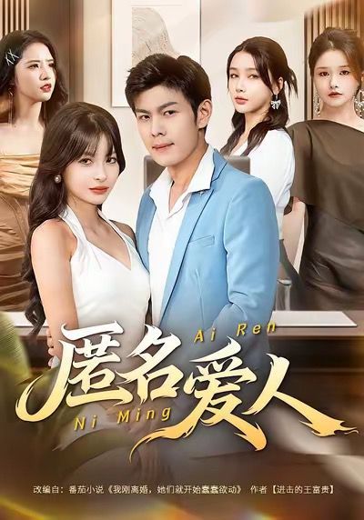 匿名爱人 高清封面