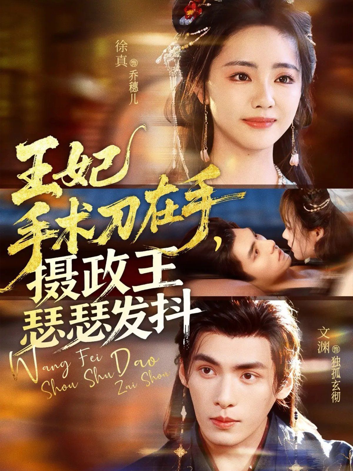 王妃手术刀在手摄政王瑟瑟发抖 高清封面