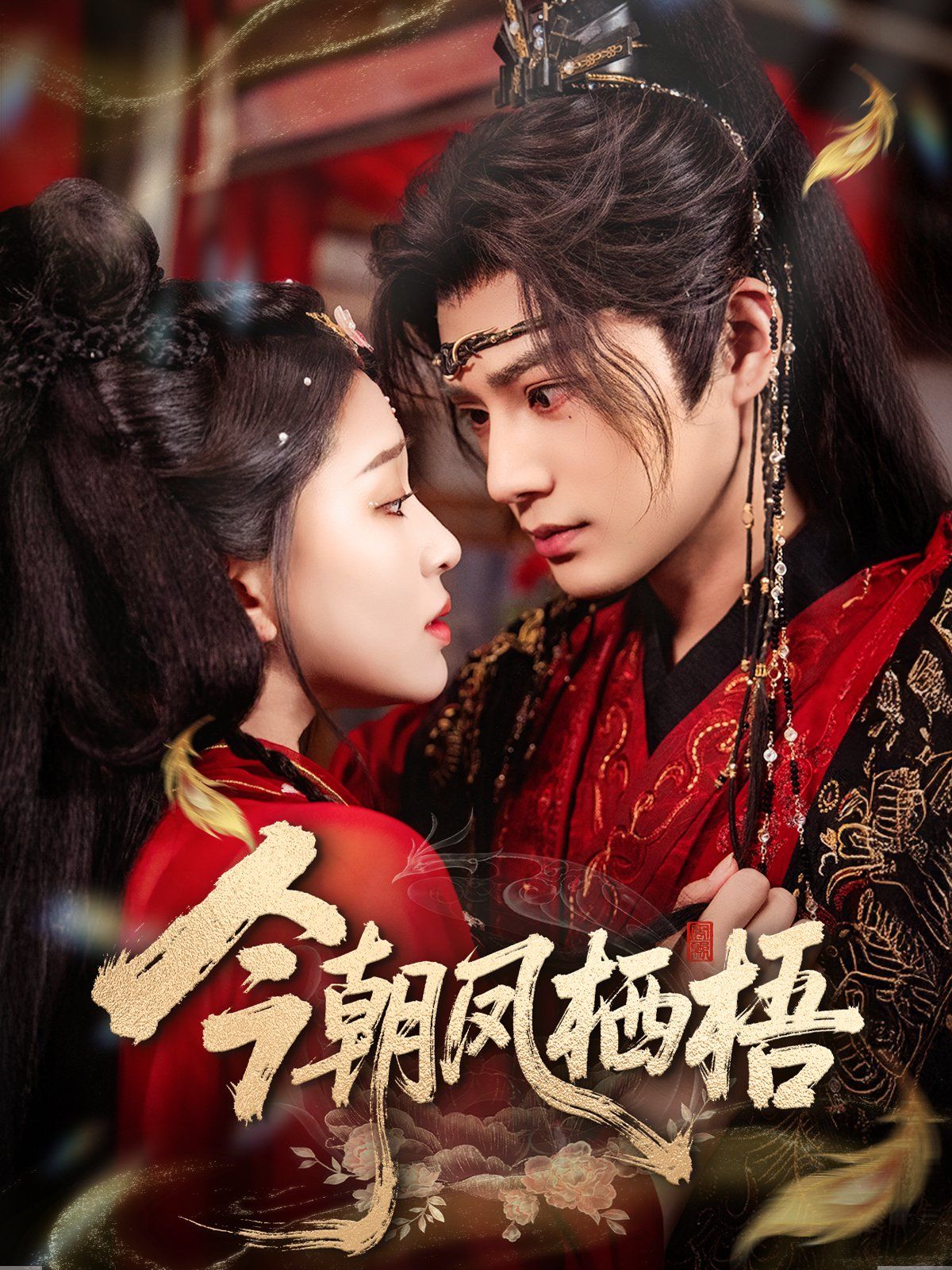 今朝凤栖梧 高清封面