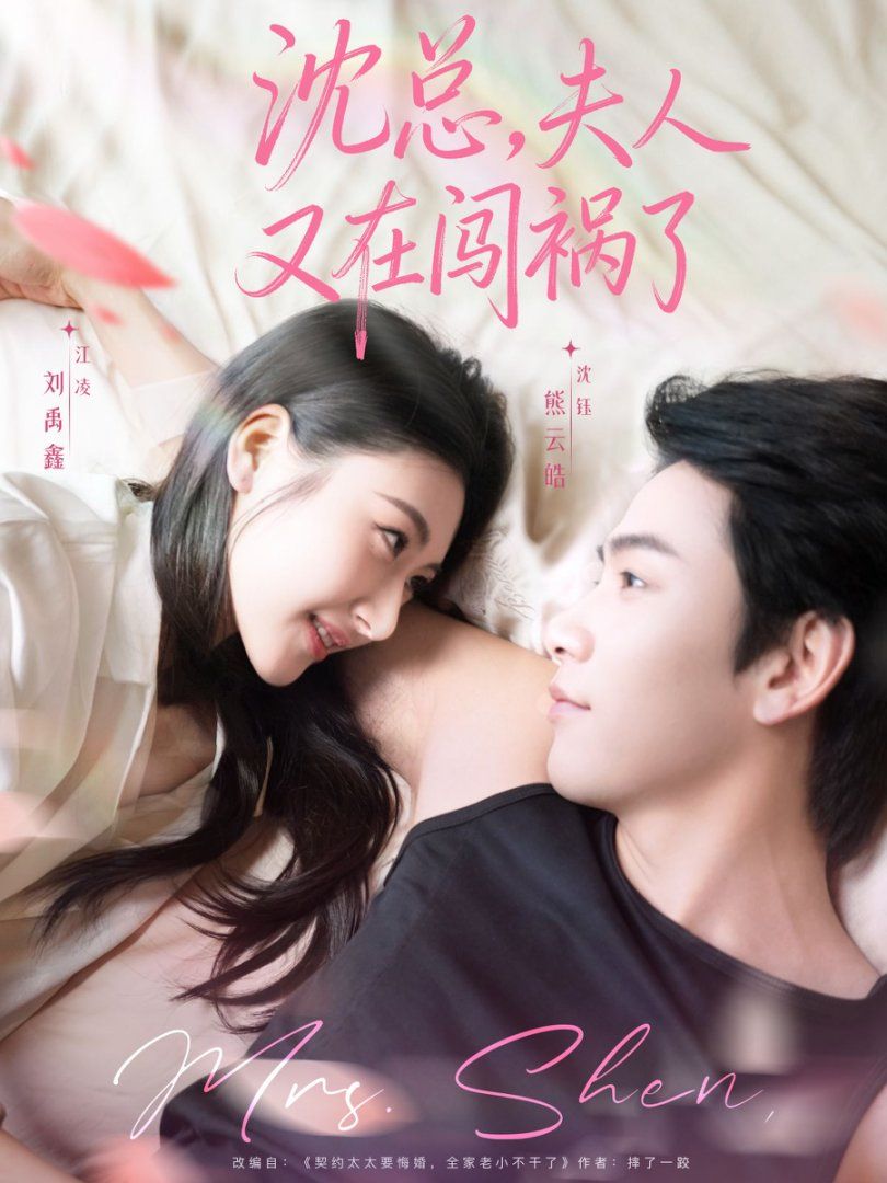 沈总，夫人又在闯祸了 高清封面