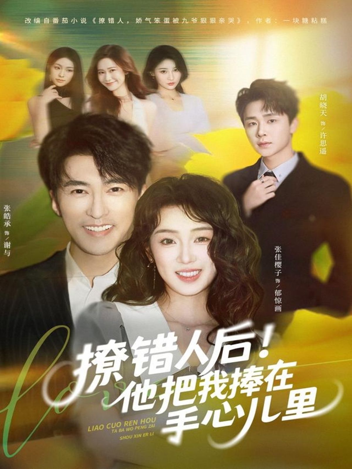 撩错人后！他把我捧在手心儿里 高清封面