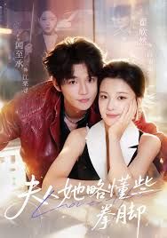 夫人她略懂些拳脚 高清封面