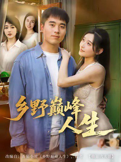 乡野巅峰人生 高清封面