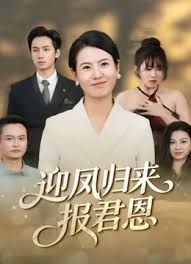 迎凤归来报君恩 高清封面