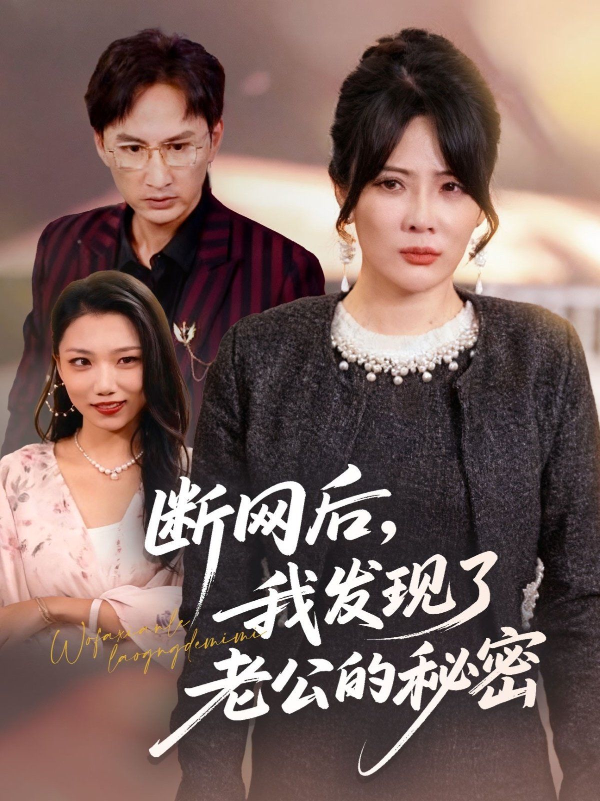 断网后我发现了老公的秘密 高清封面