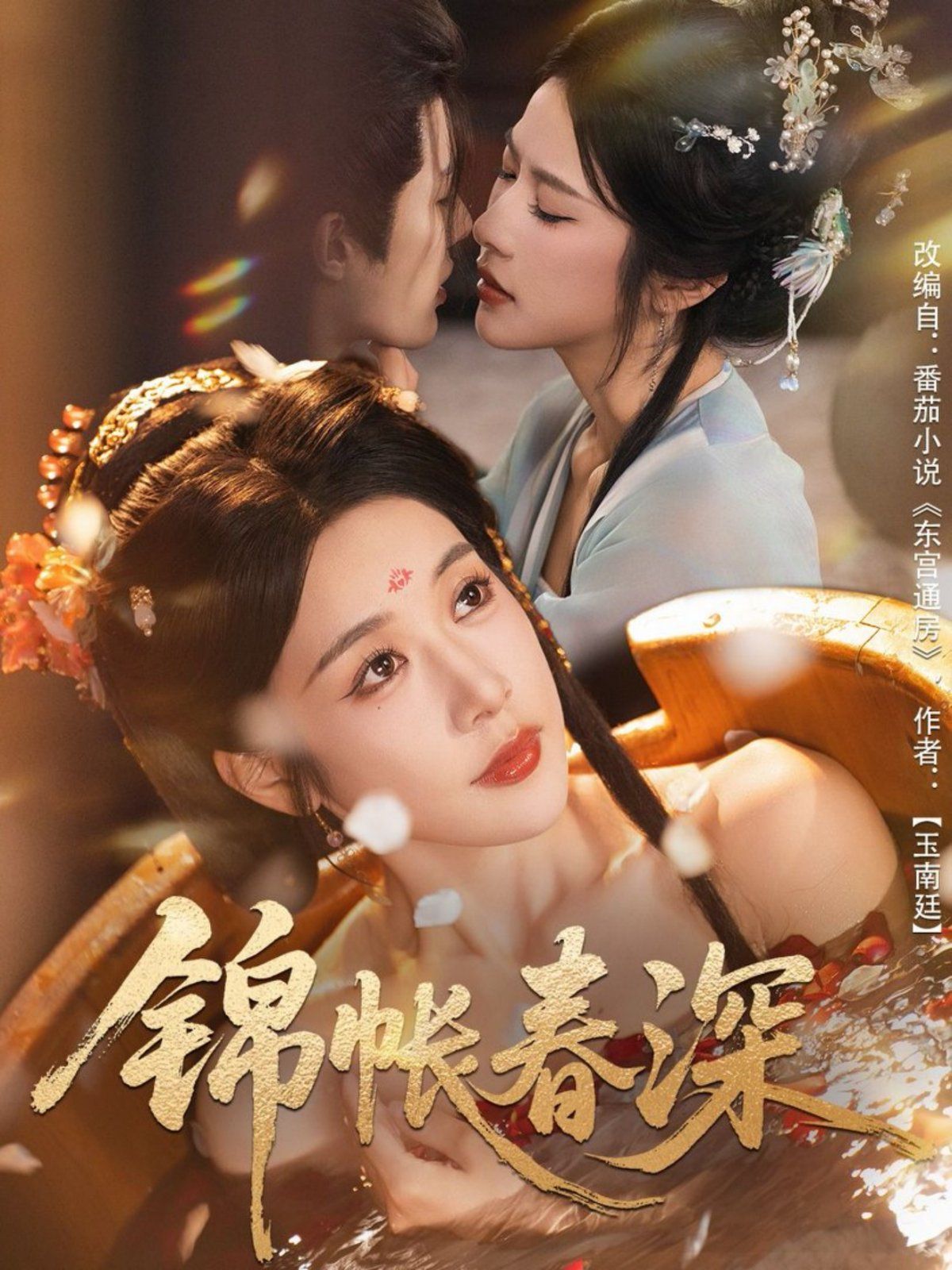 锦帐春深 高清封面