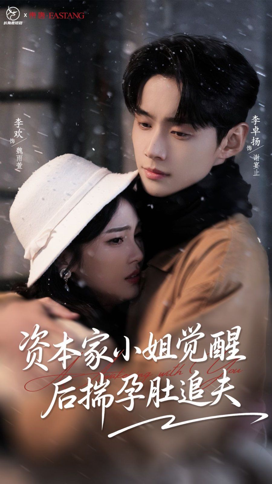 资本家小姐觉醒后揣孕肚追夫 高清封面