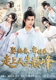 娶娇妻，考科举，走上人生巅峰 高清封面