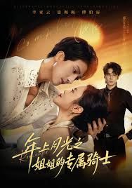 年上月光之姐姐的专属骑士 高清封面