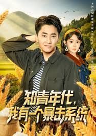 知青年代，我有一个暴击系统 高清封面