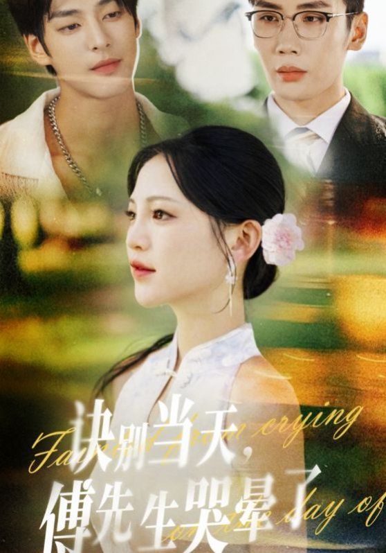 诀别当天傅先生哭晕了 高清封面