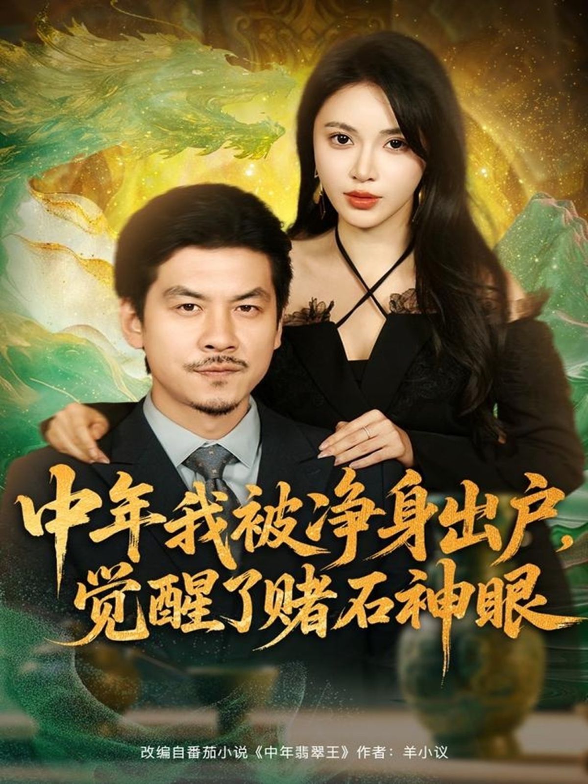 中年我被净身出户，觉醒了赌石神眼 高清封面