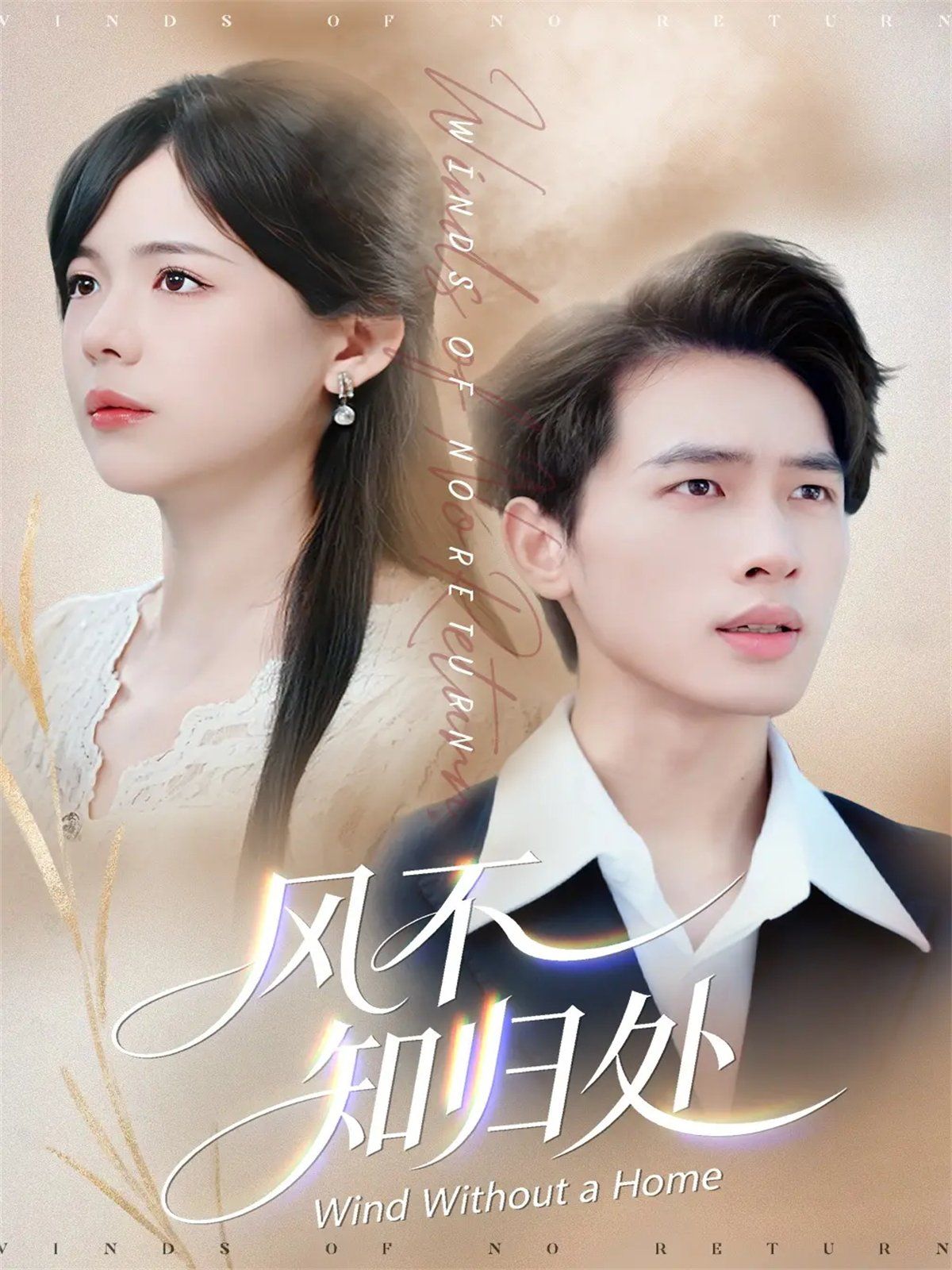 风不知归处 高清封面