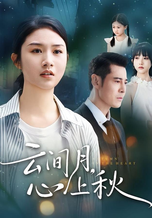 云间月心上秋 封面