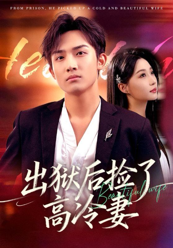 出狱后捡了高冷妻 高清封面