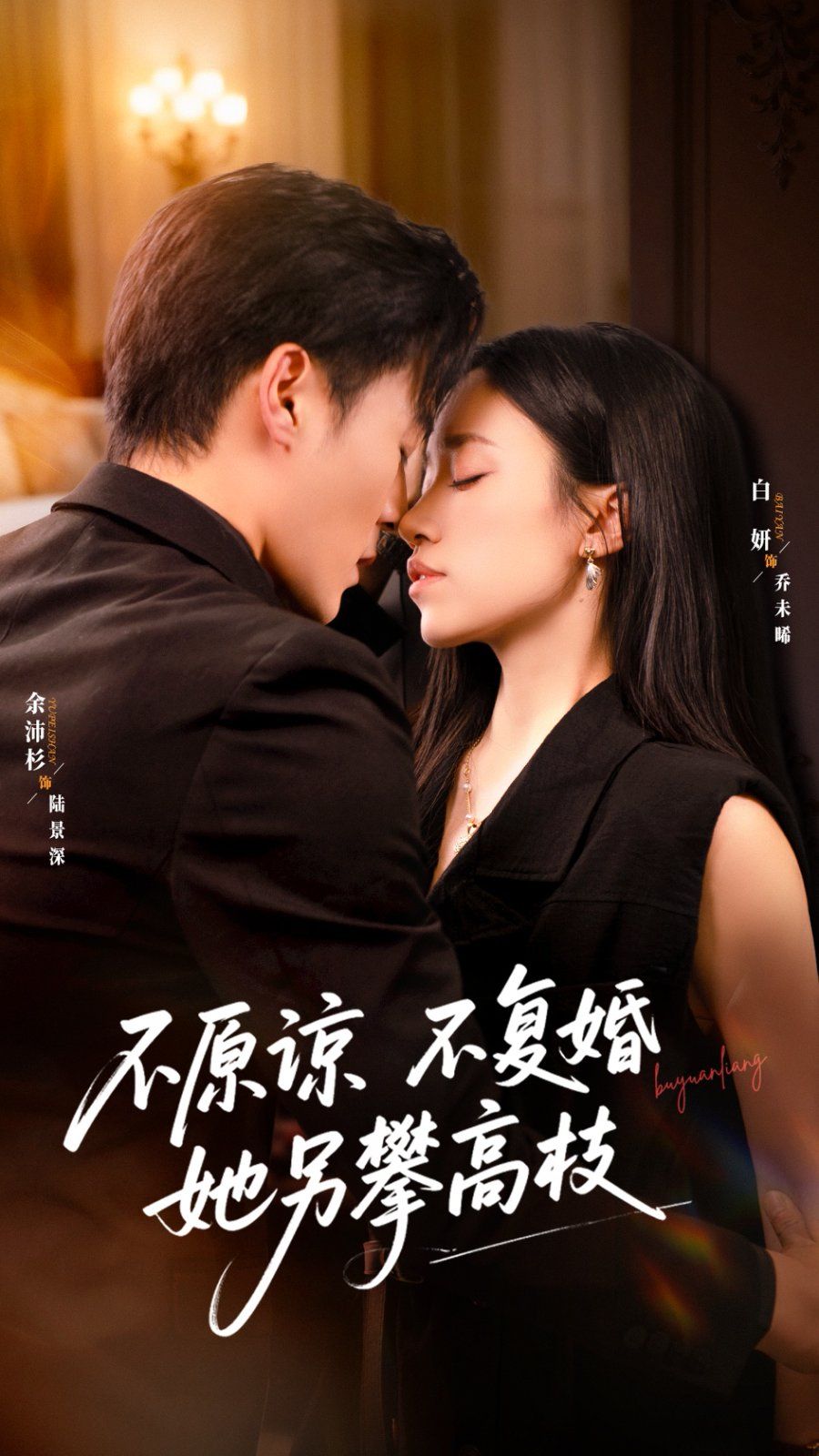 不原谅不复婚她另攀高枝 高清封面