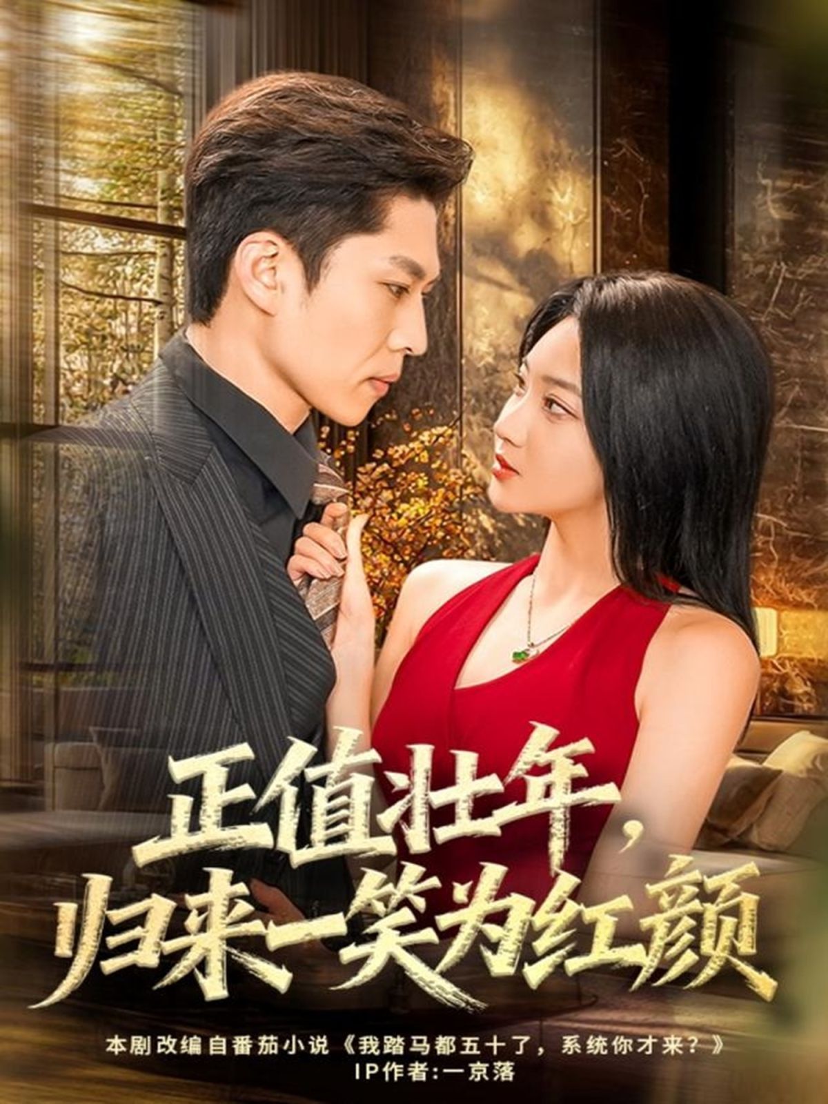 正值壮年，归来一笑为红颜 高清封面