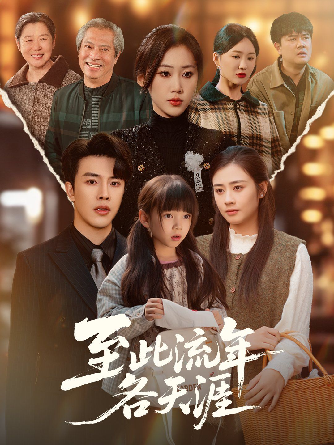 至此流年各天涯 封面