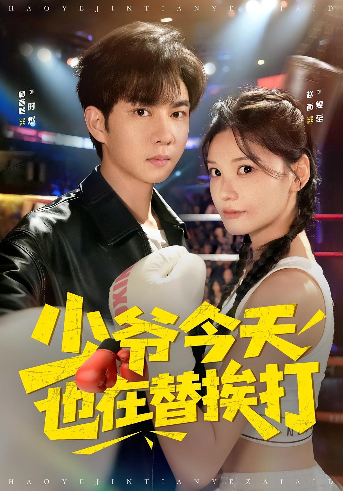 少爷今天也在替挨打 高清封面