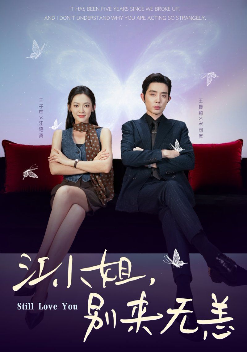 江小姐，别来无恙分手五年，宋先生别纠缠 高清封面