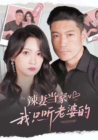 辣妻当家，我只听老婆的 封面
