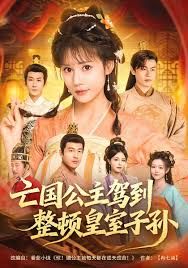 亡国公主驾到，整顿皇室子孙 高清封面