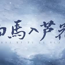 白马入芦花 封面