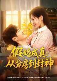 假婚成真从分房到封神（房风云重生守护师娘） 高清封面