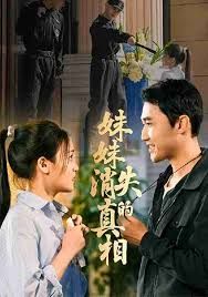 妹妹消失的真相 高清封面