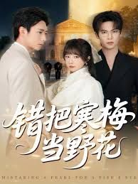 错把寒梅当野花 封面