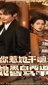 你惹她干嘛，她黑白两道皆马甲 高清封面