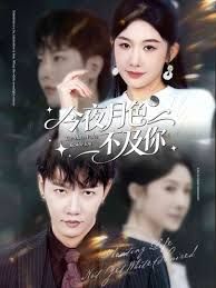 今夜月色不及你 封面