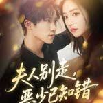 夫人别走恶少已知错 高清封面