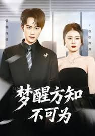 梦醒方知不可为 高清封面