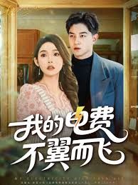 我的电费不翼而飞 高清封面