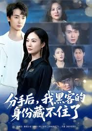 分手后，我黑客的身份藏不住了 高清封面