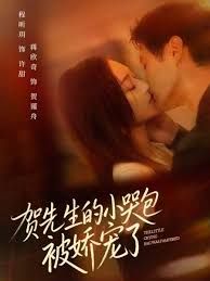 贺先生的小哭包被娇宠了 封面