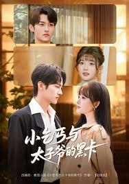 小乞丐与太子爷的黑卡 高清封面