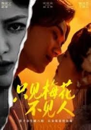 只见梅花不见人 封面