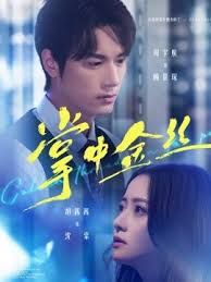 掌中金丝（长姐她竟是隐藏大佬） 封面