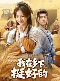 我在乡下挺好的 封面