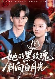 她的黑玫瑰刺向白月光 高清封面