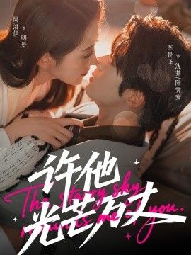 许他光芒万丈 封面