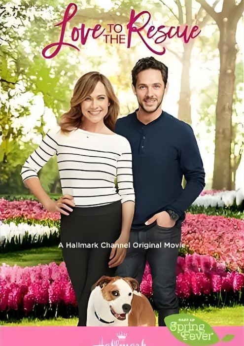 救助狗狗遇到爱 封面