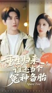 重生归来谁还当个冤种备胎 高清封面