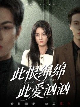 此恨绵绵此爱汹汹 封面