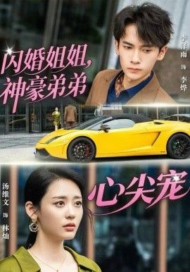 闪婚姐姐，神豪弟弟心尖宠 高清封面