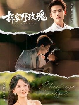 [searchlist:name] 封面