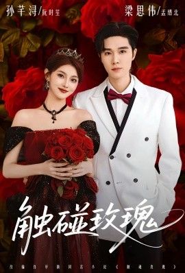 触碰玫瑰（凌晨四点半，玫瑰花未眠） 泰剧封面