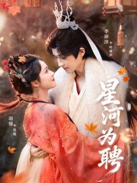 星河为聘 封面